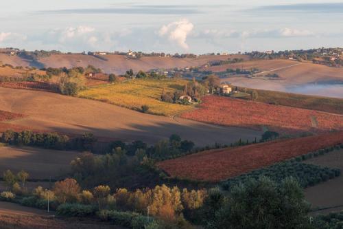 La Vita Nuova Morro d'Alba Luaran gambar